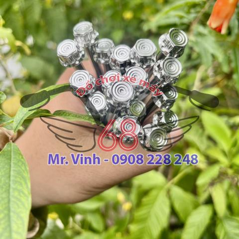 Bộ ốc nồi Salaya inox cho SHVN