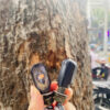 Hình ảnh: Cận cảnh loại xi nhan nhỏ gọn cho anh em Biker thay thế cho tay nhan zin