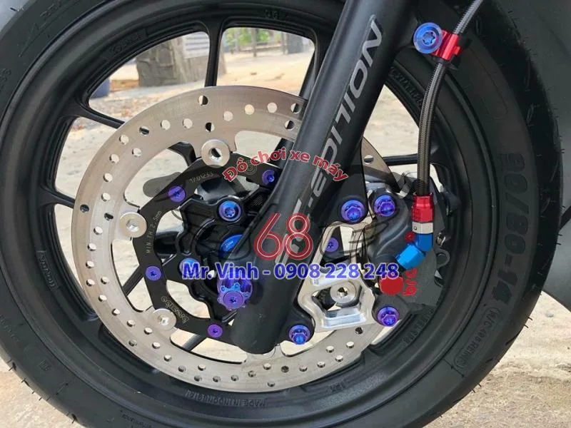 vario bạc nhám kiểng